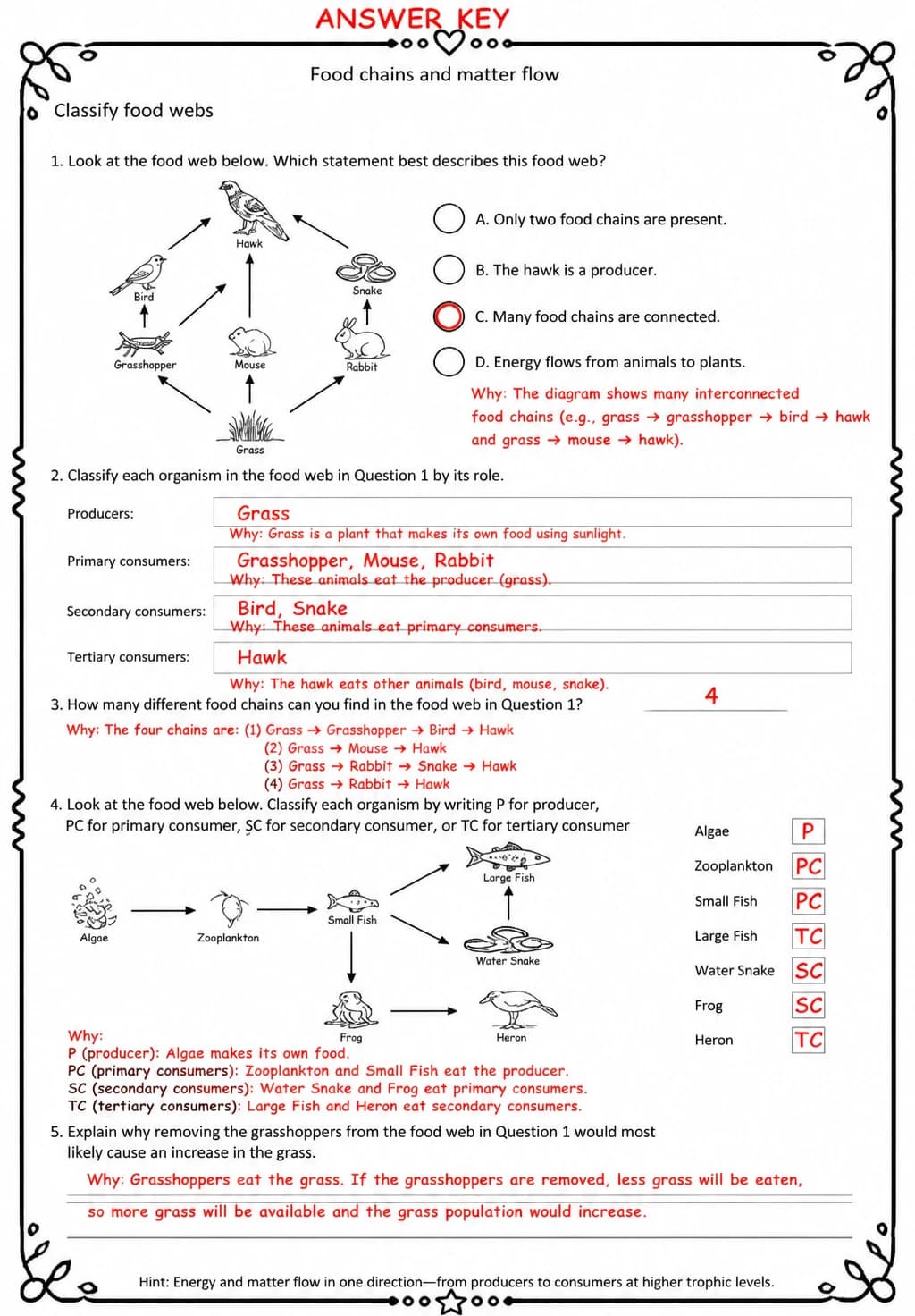 Answer key for Classify food webs — free printable Science worksheet