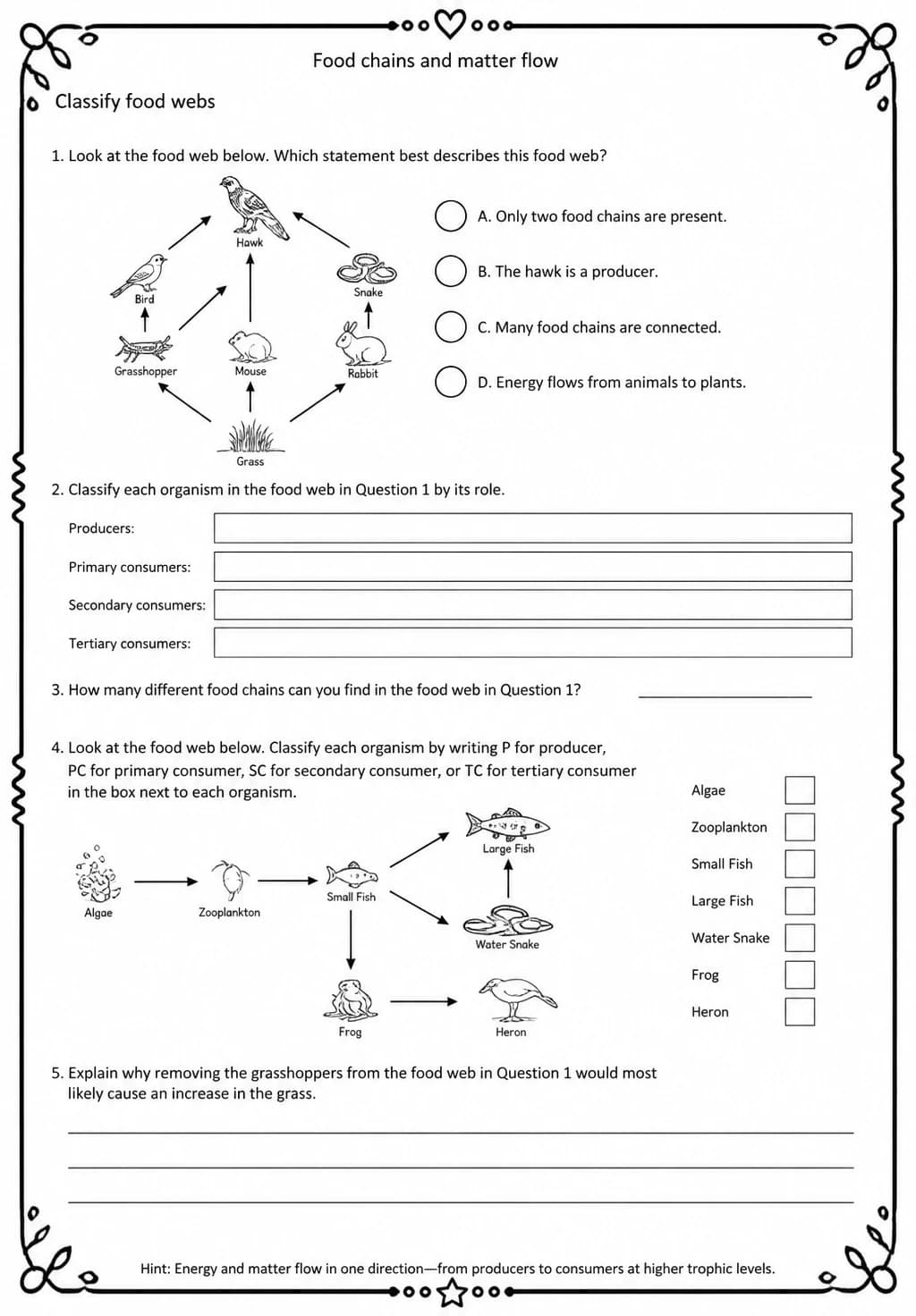 Classify food webs — free printable Grade 5 Science worksheet