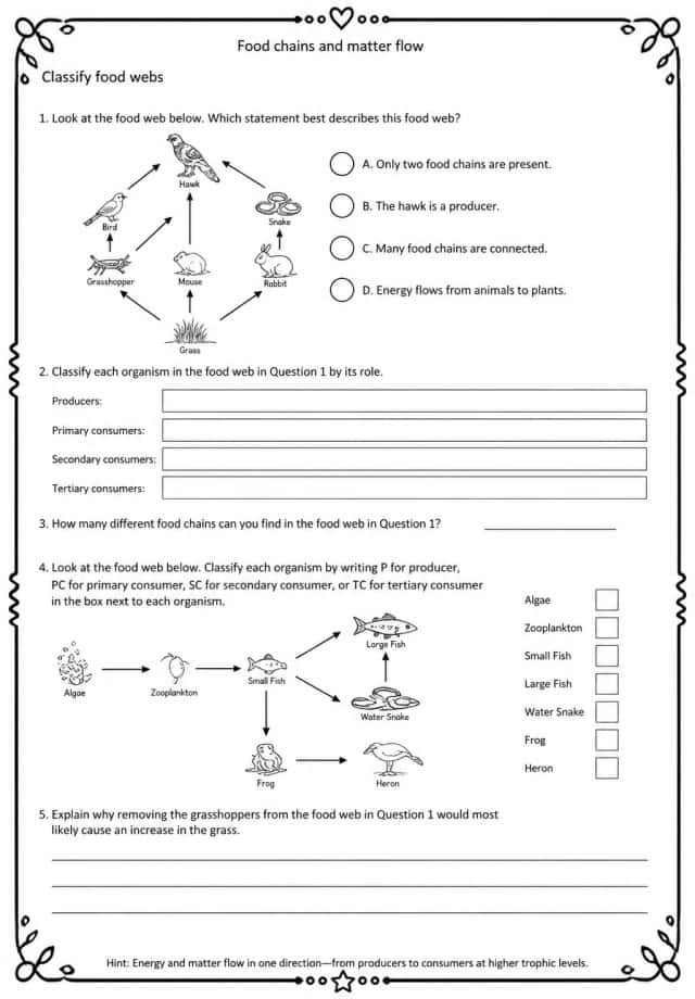 Classify food webs