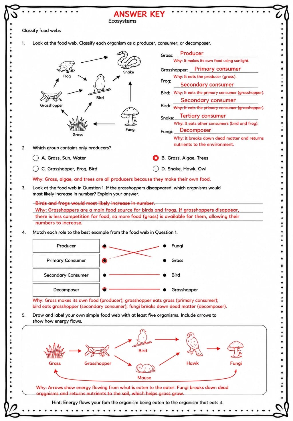 Answer key for Classify food webs — free printable Science worksheet