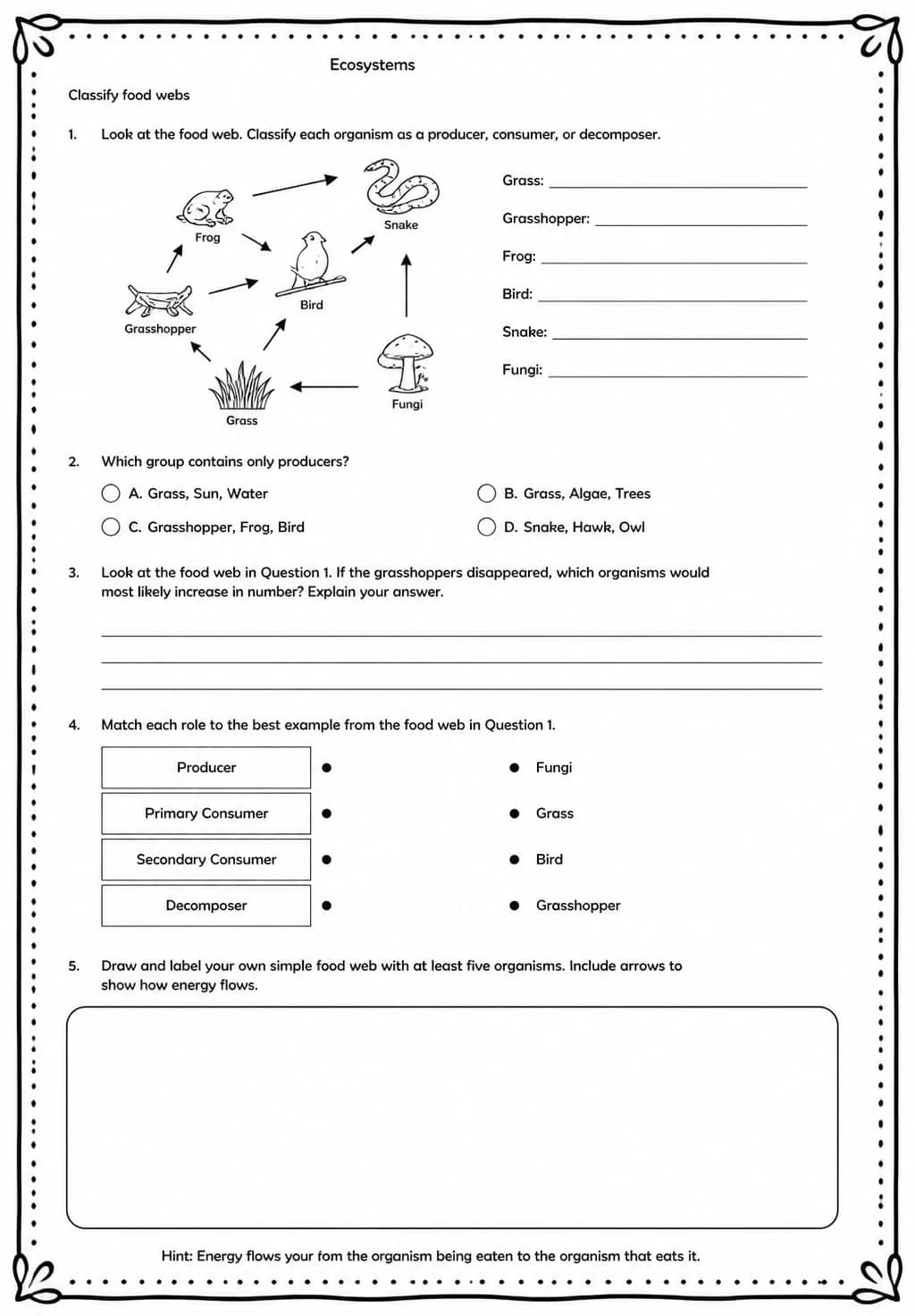 Classify food webs — free printable Middle School Science worksheet