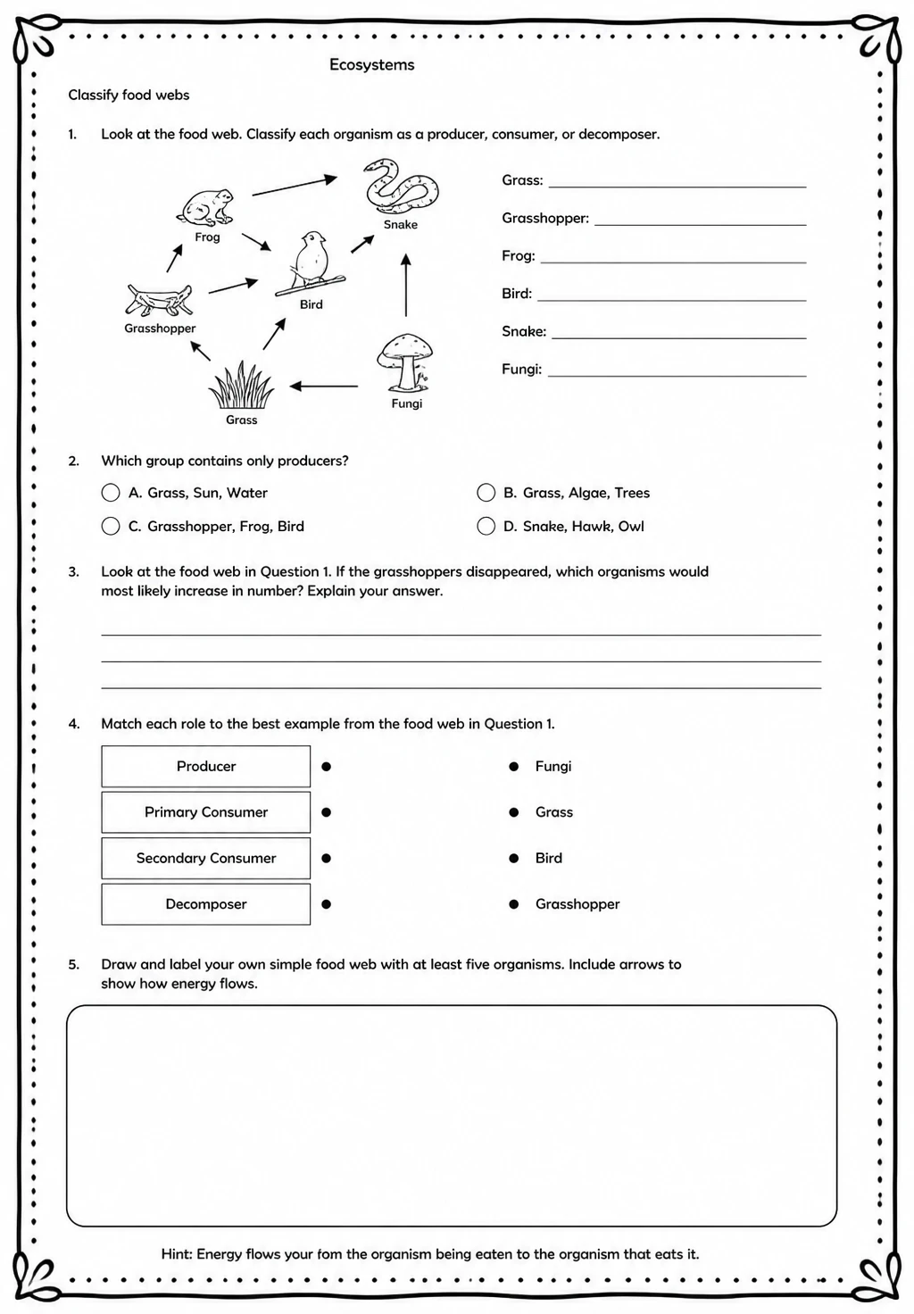 Classify food webs — free printable Middle School Science worksheet