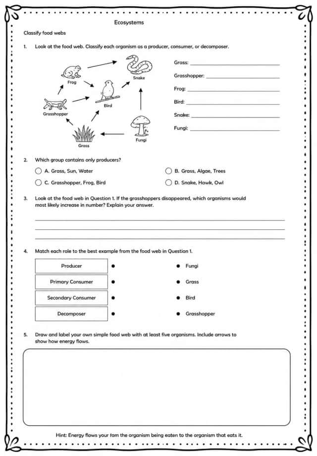 Classify food webs