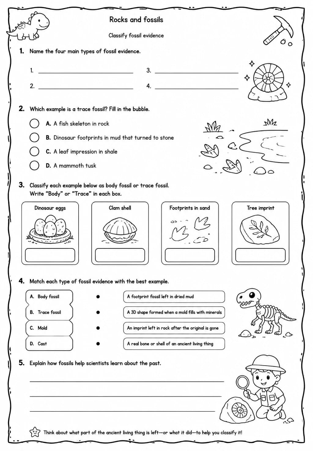 Classify fossil evidence — free printable Grade 4 Science worksheet
