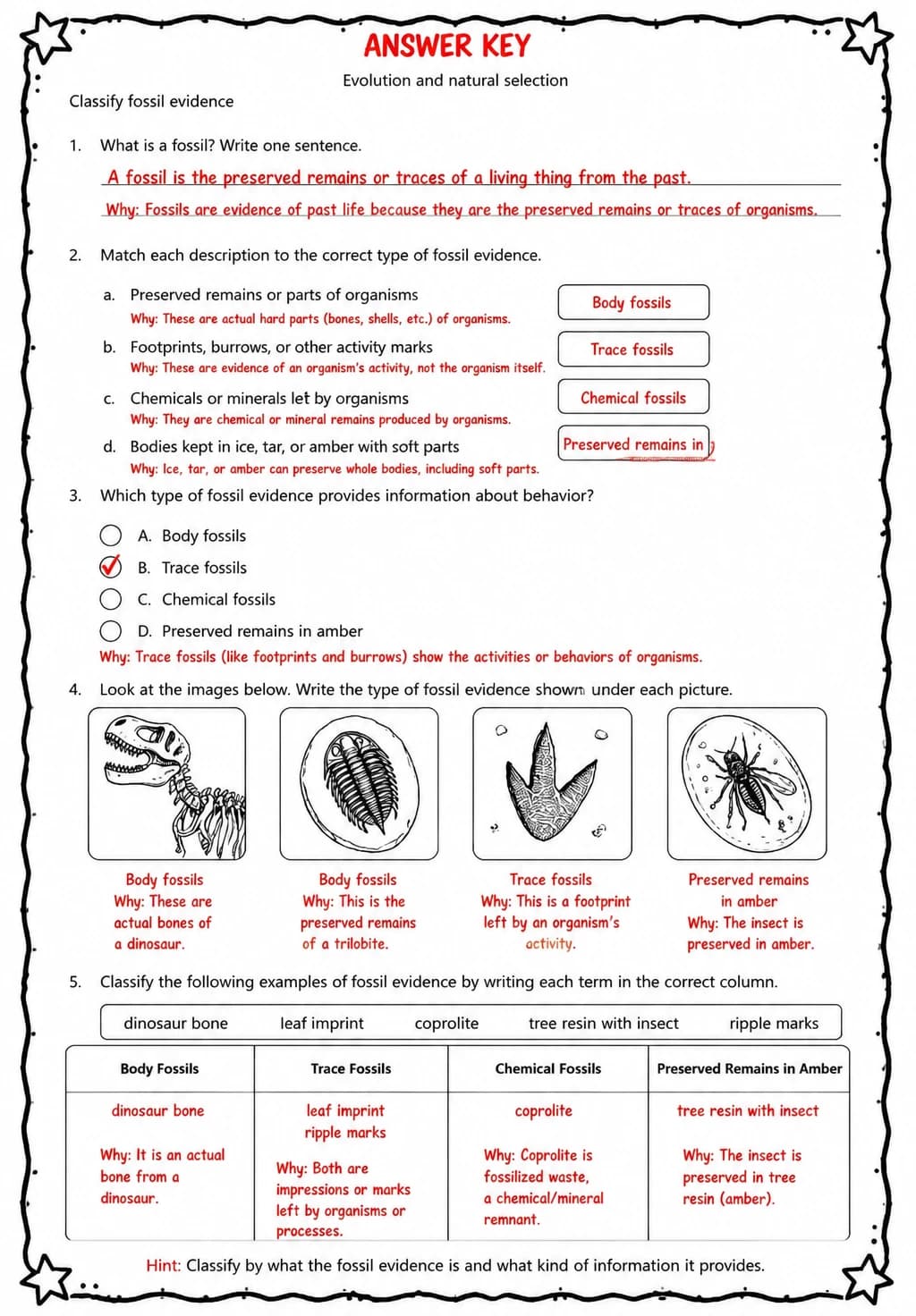 Answer key for Classify fossil evidence — free printable Science worksheet