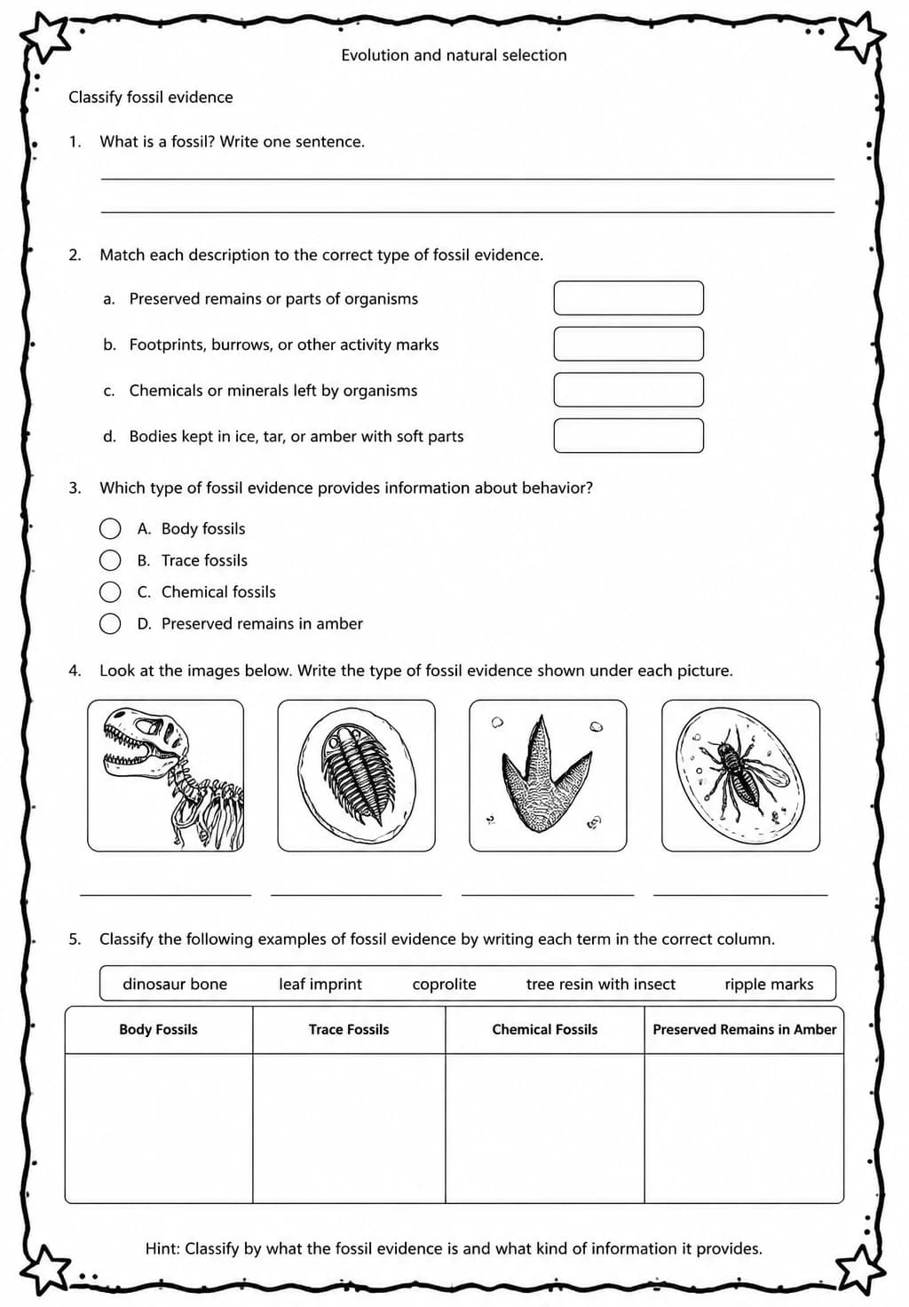 Classify fossil evidence — free printable Middle School Science worksheet