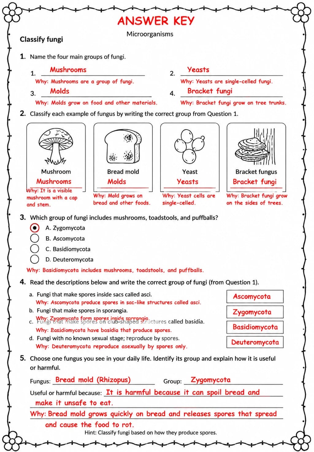 Answer key for Classify fungi — free printable Science worksheet