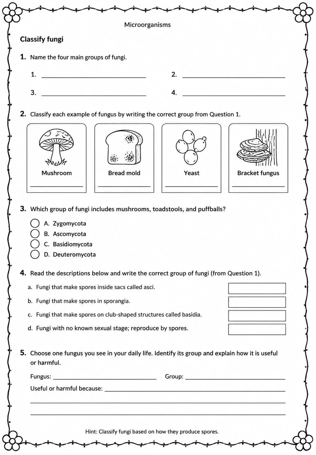 Classify fungi — free printable Middle School Science worksheet