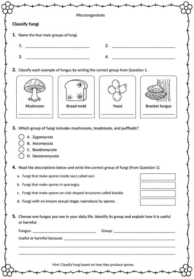 Classify fungi