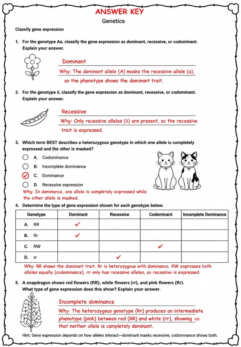 Answer key for Classify gene expression — free printable Science worksheet