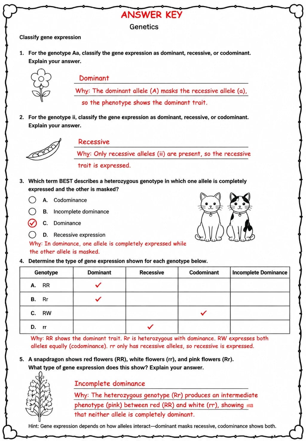 Answer key for Classify gene expression — free printable Science worksheet