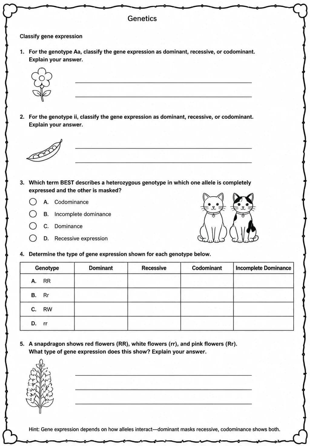 Classify gene expression — free printable High School Science worksheet