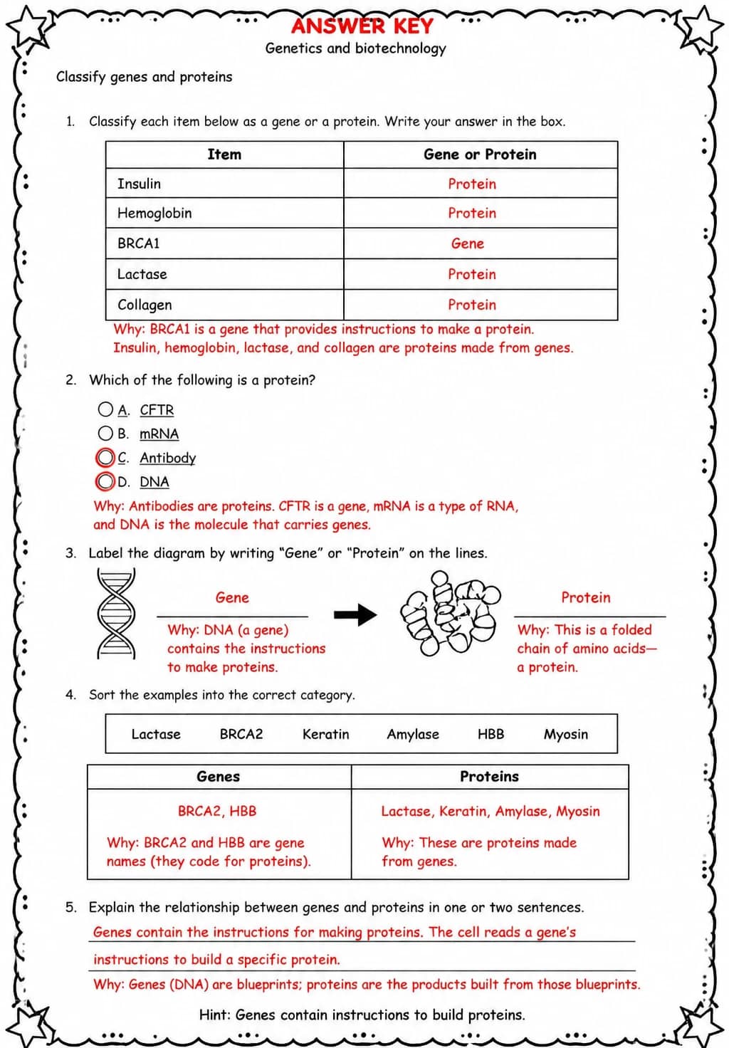 Answer key for Classify genes and proteins — free printable Science worksheet