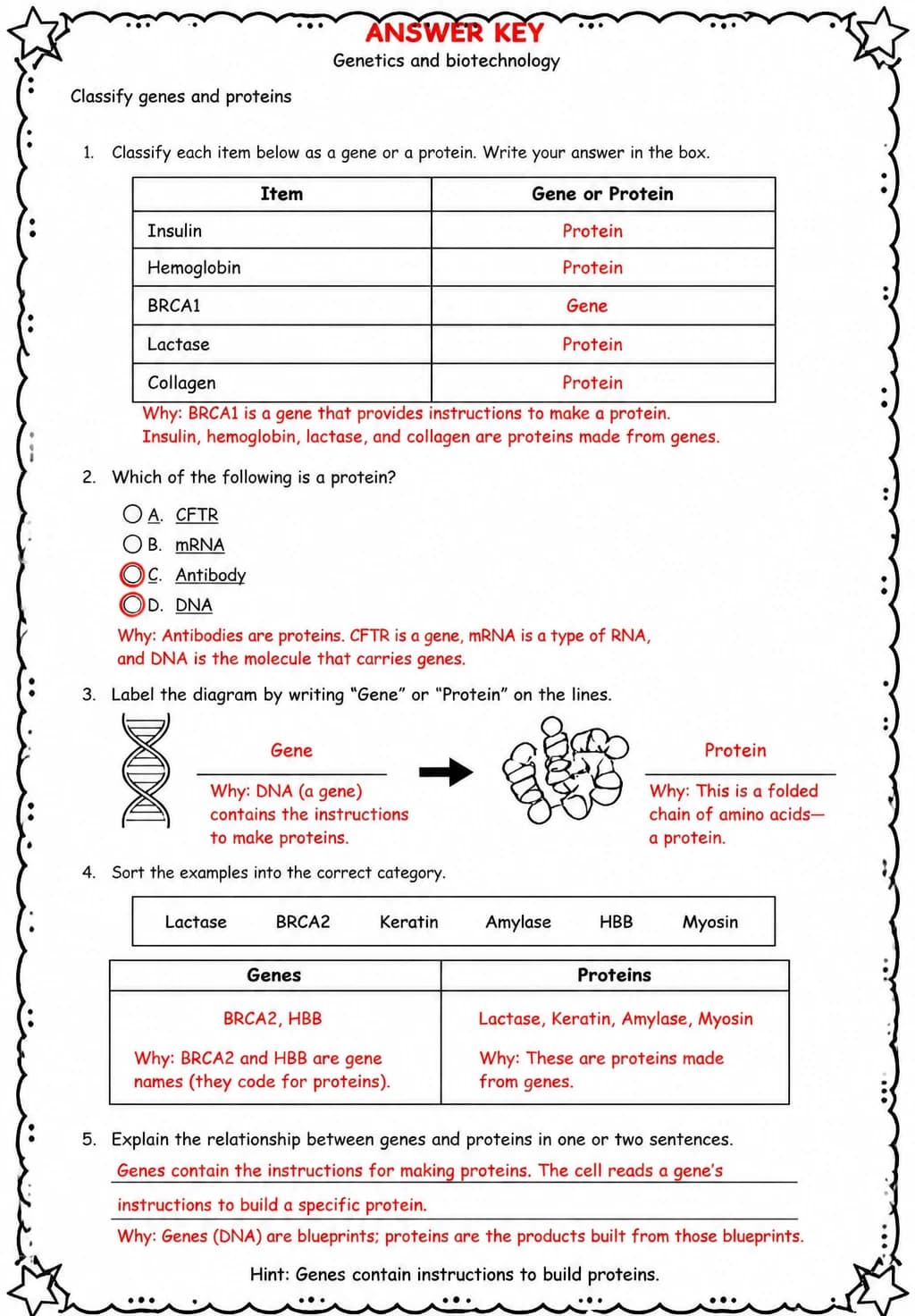 Answer key for Classify genes and proteins — free printable Science worksheet