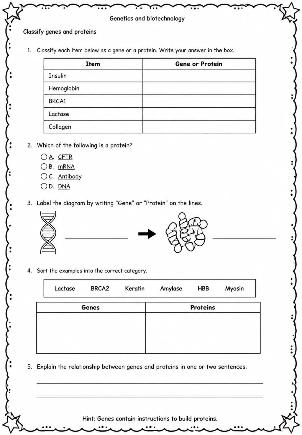 Classify genes and proteins — free printable Middle School Science worksheet