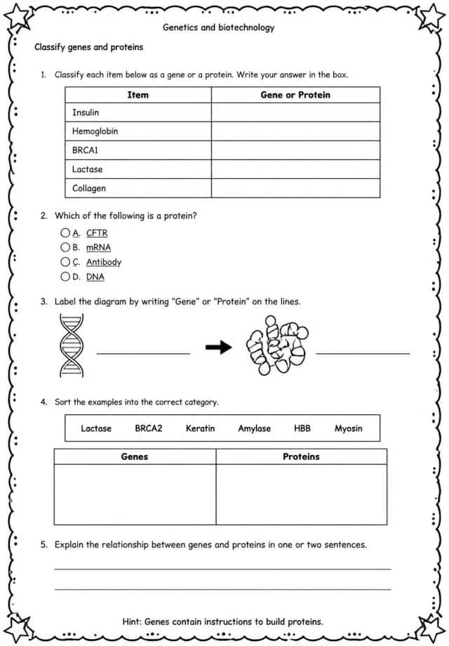 Classify genes and proteins