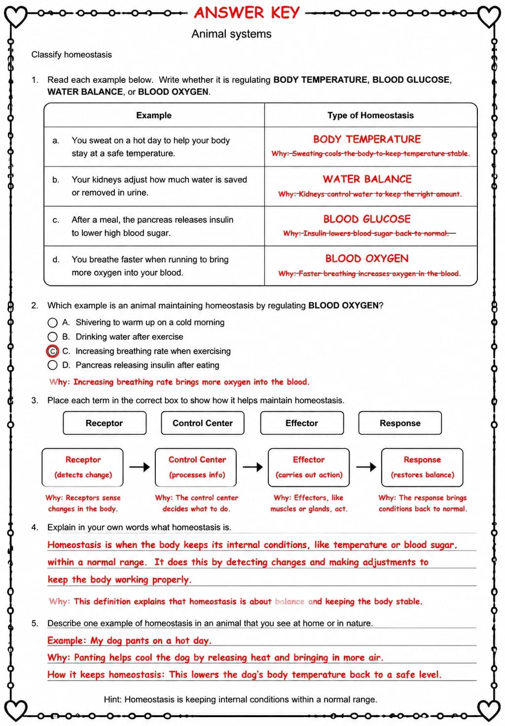Answer key for Classify homeostasis — free printable Science worksheet