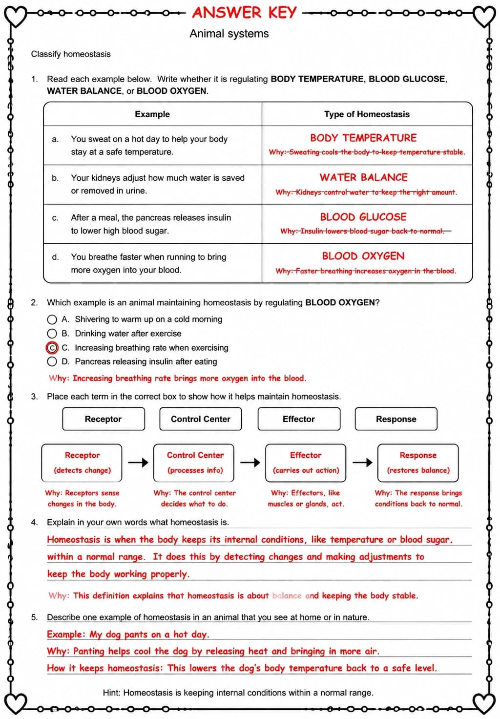 Answer key for Classify homeostasis — free printable Science worksheet