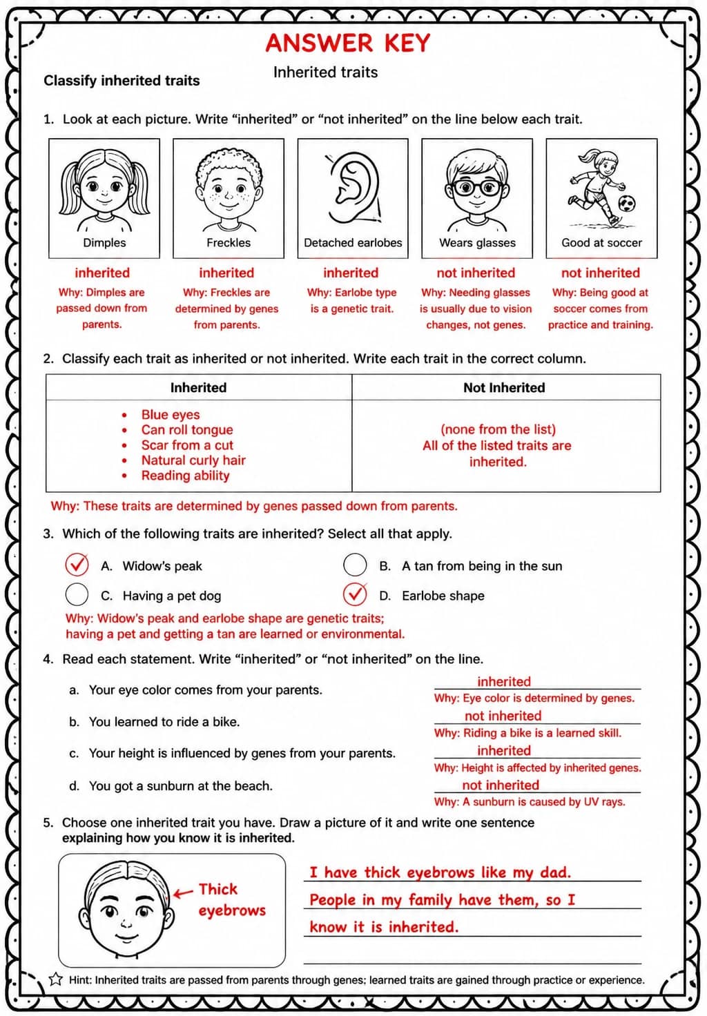 Answer key for Classify inherited traits — free printable Science worksheet