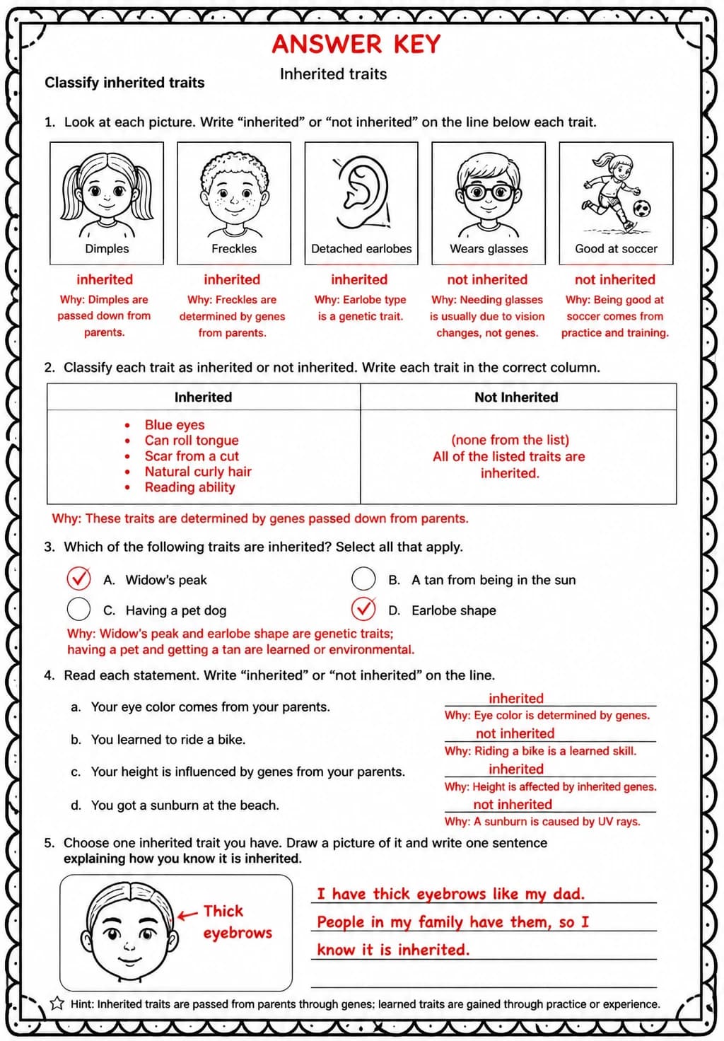 Answer key for Classify inherited traits — free printable Science worksheet
