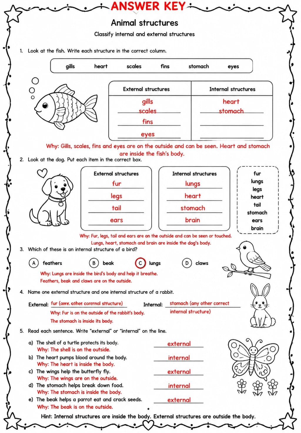 Answer key for Classify internal and external structures — free printable Science worksheet