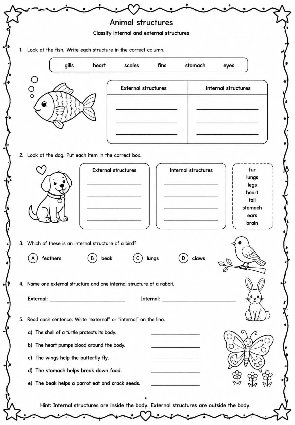 Classify internal and external structures — free printable Grade 4 Science worksheet