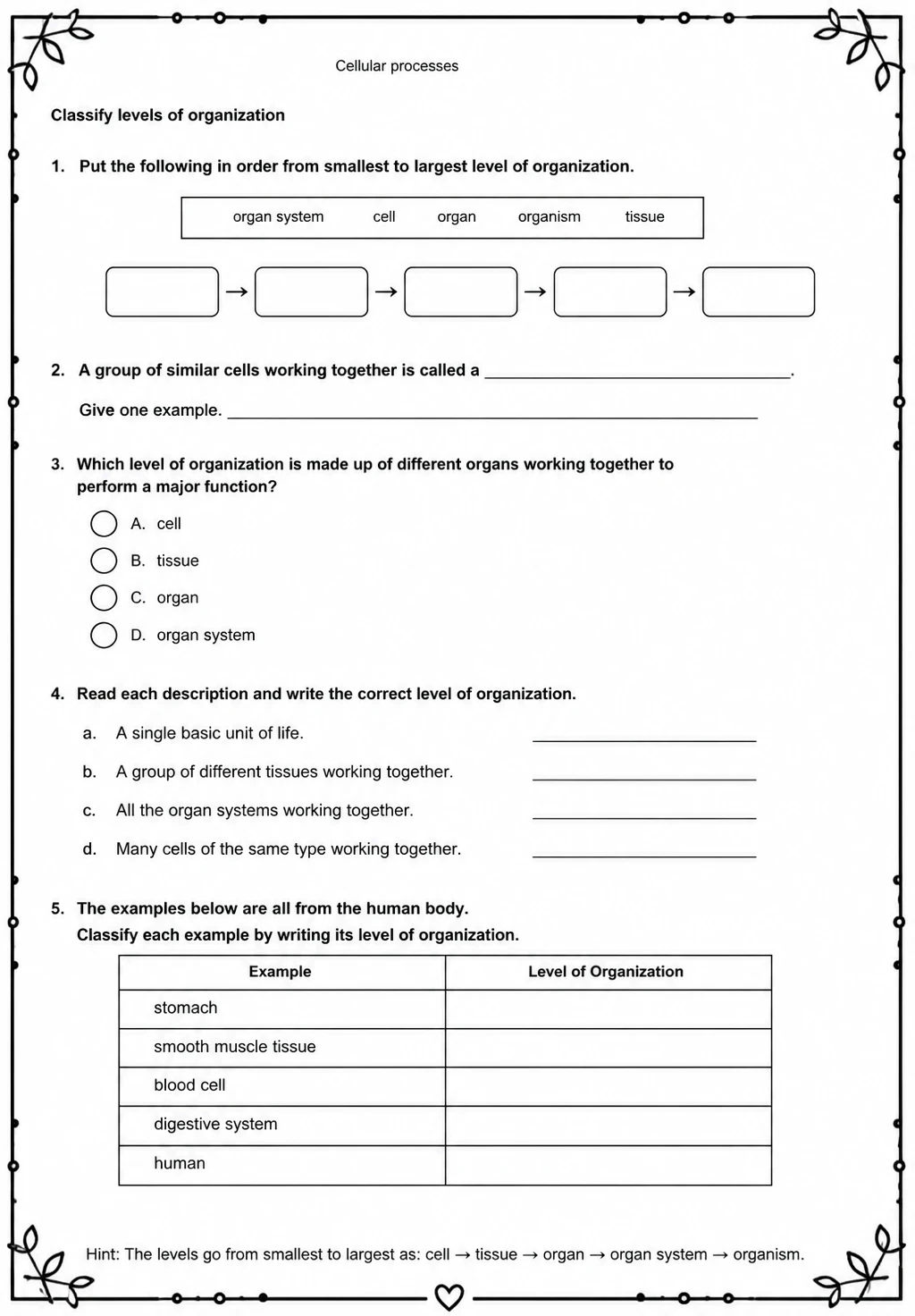 Classify levels of organization — free printable Middle School Science worksheet