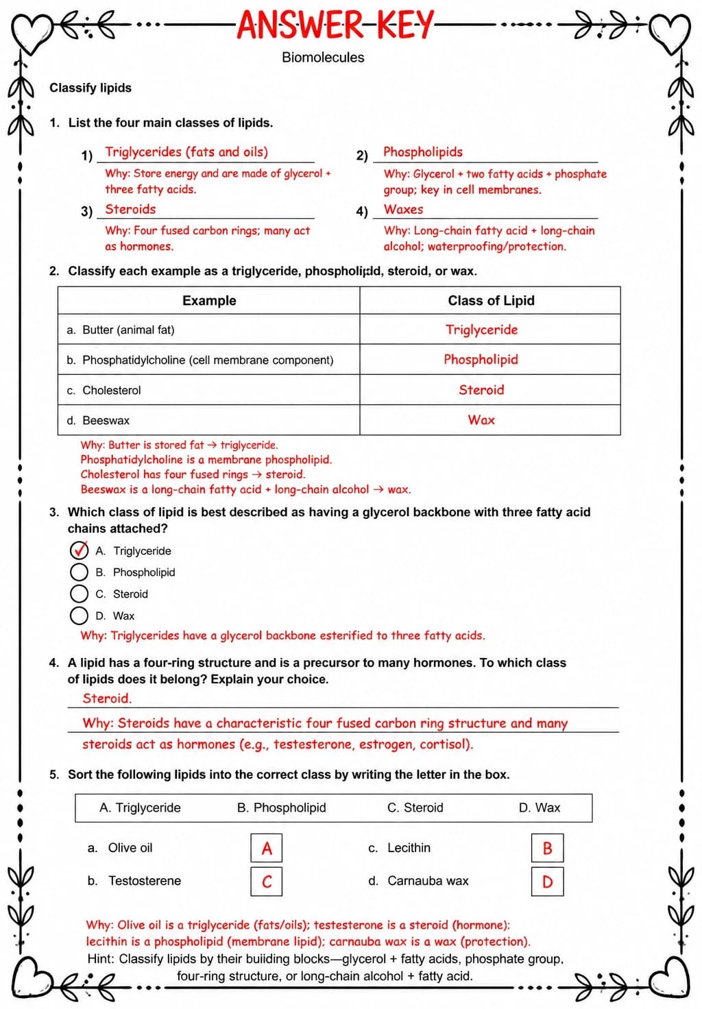 Answer key for Classify lipids — free printable Science worksheet