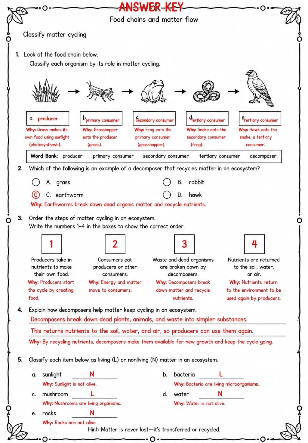 Answer key for Classify matter cycling — free printable Science worksheet