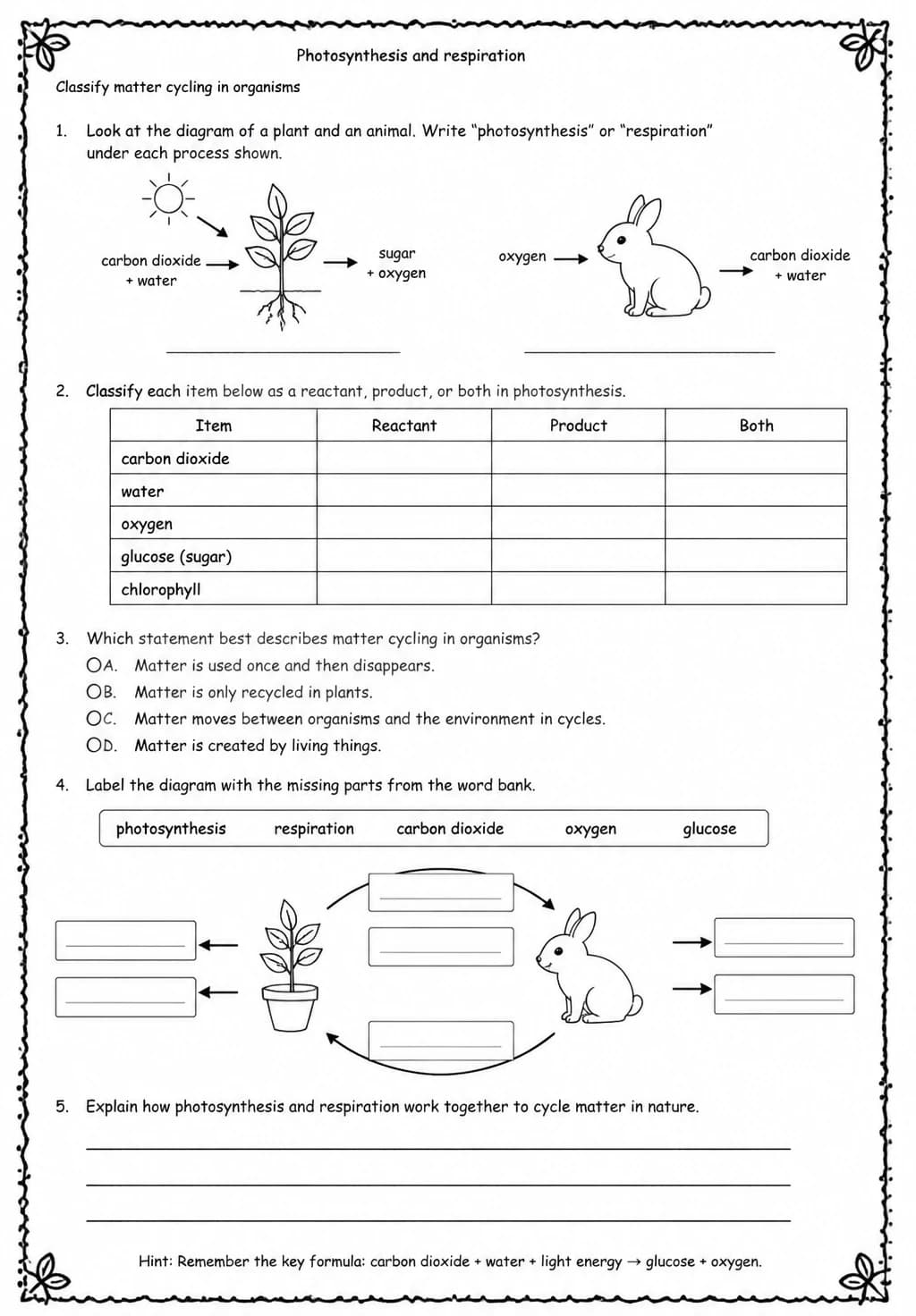 Classify matter cycling in organisms — free printable Middle School Science worksheet