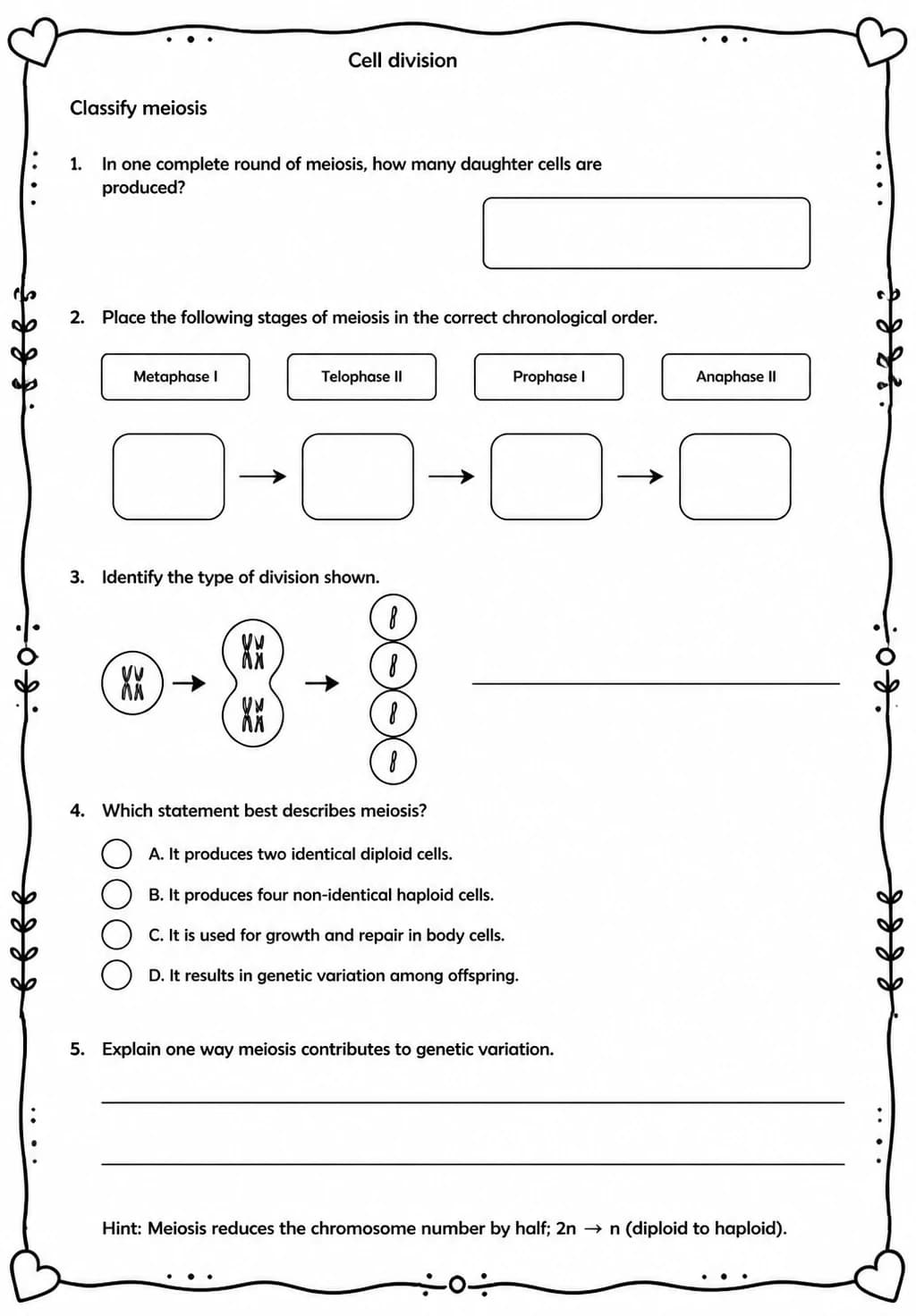 Classify meiosis — free printable High School Science worksheet