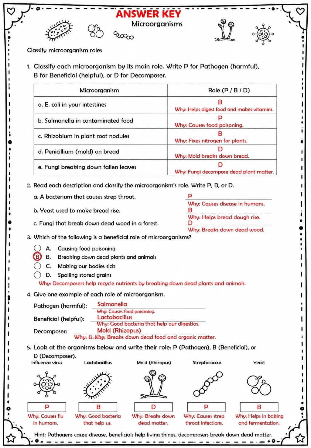 Answer key for Classify microorganism roles — free printable Science worksheet