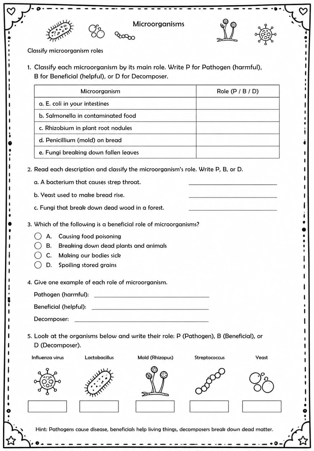 Classify microorganism roles — free printable Middle School Science worksheet