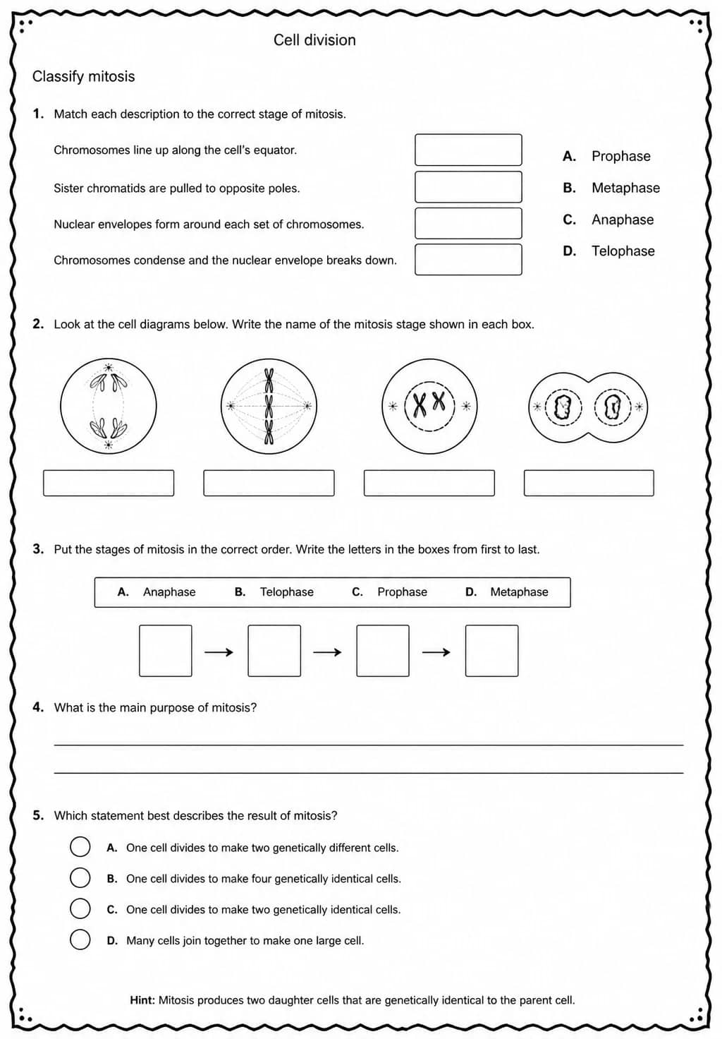 Classify mitosis — free printable High School Science worksheet