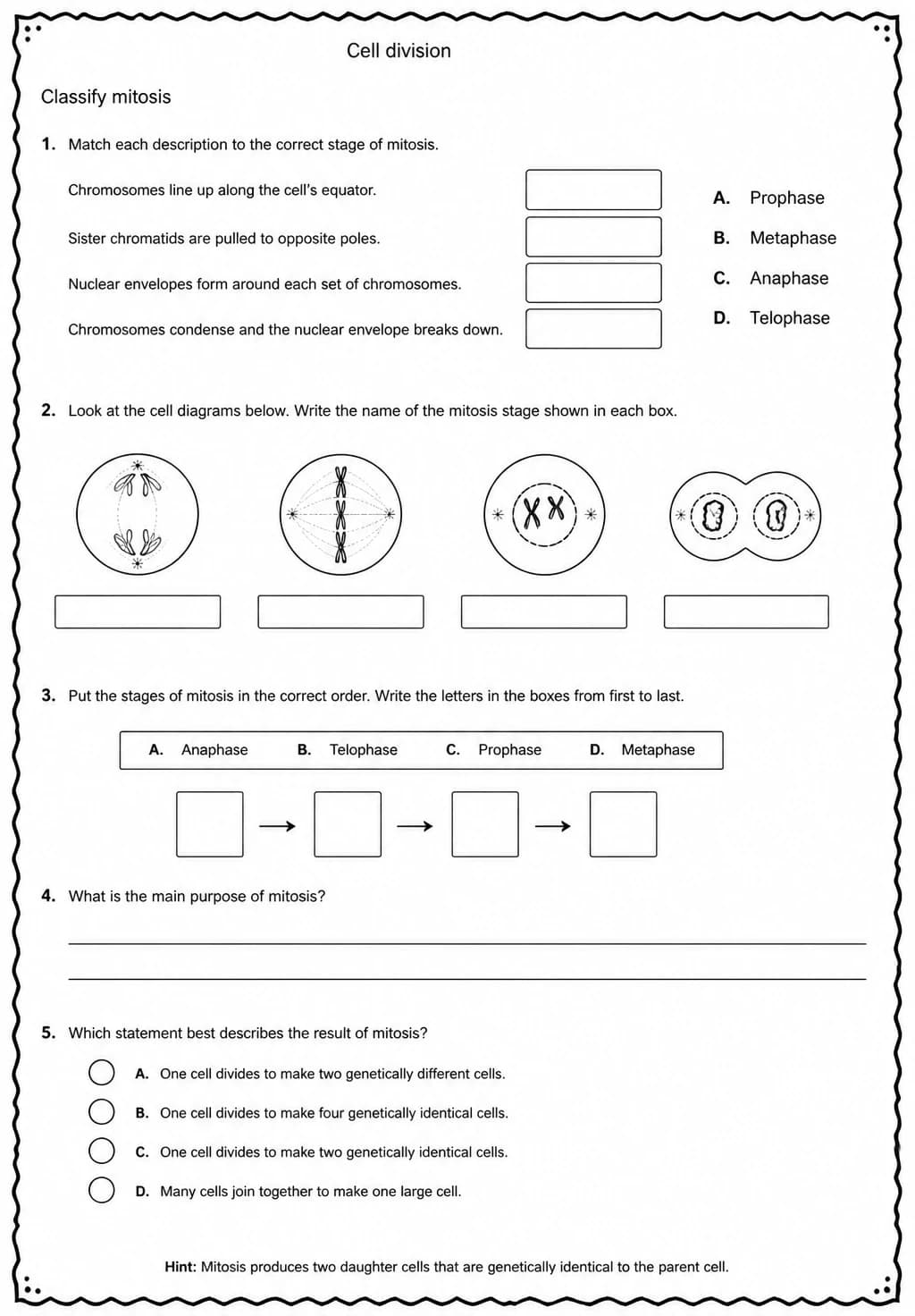 Classify mitosis — free printable High School Science worksheet