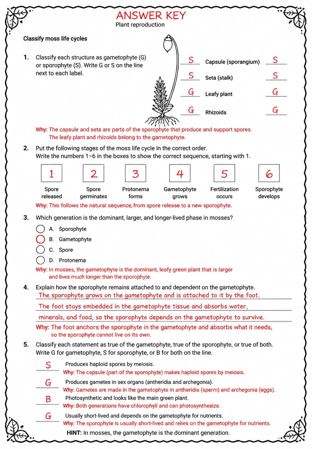 Answer key for Classify moss life cycles — free printable Science worksheet
