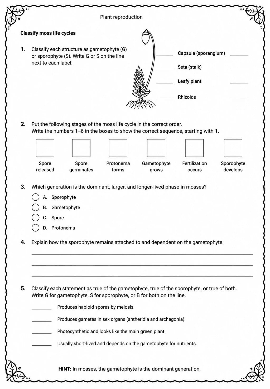 Classify moss life cycles — free printable Middle School Science worksheet
