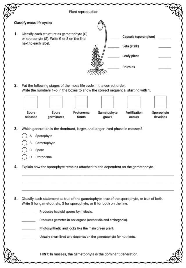 Classify moss life cycles
