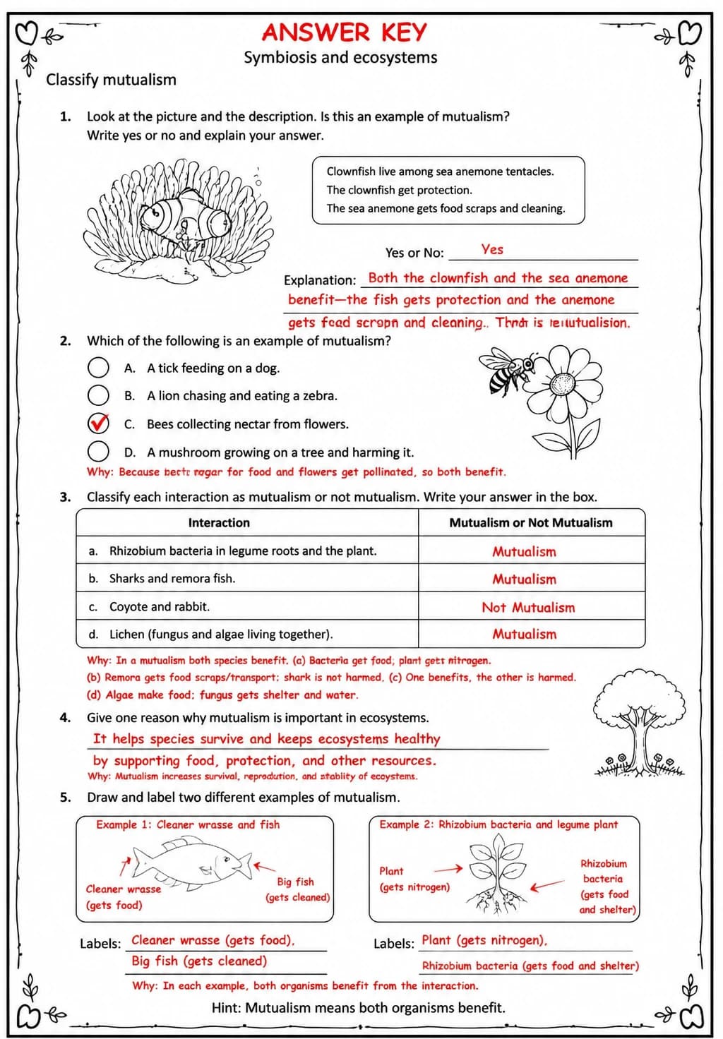 Answer key for Classify mutualism — free printable Science worksheet