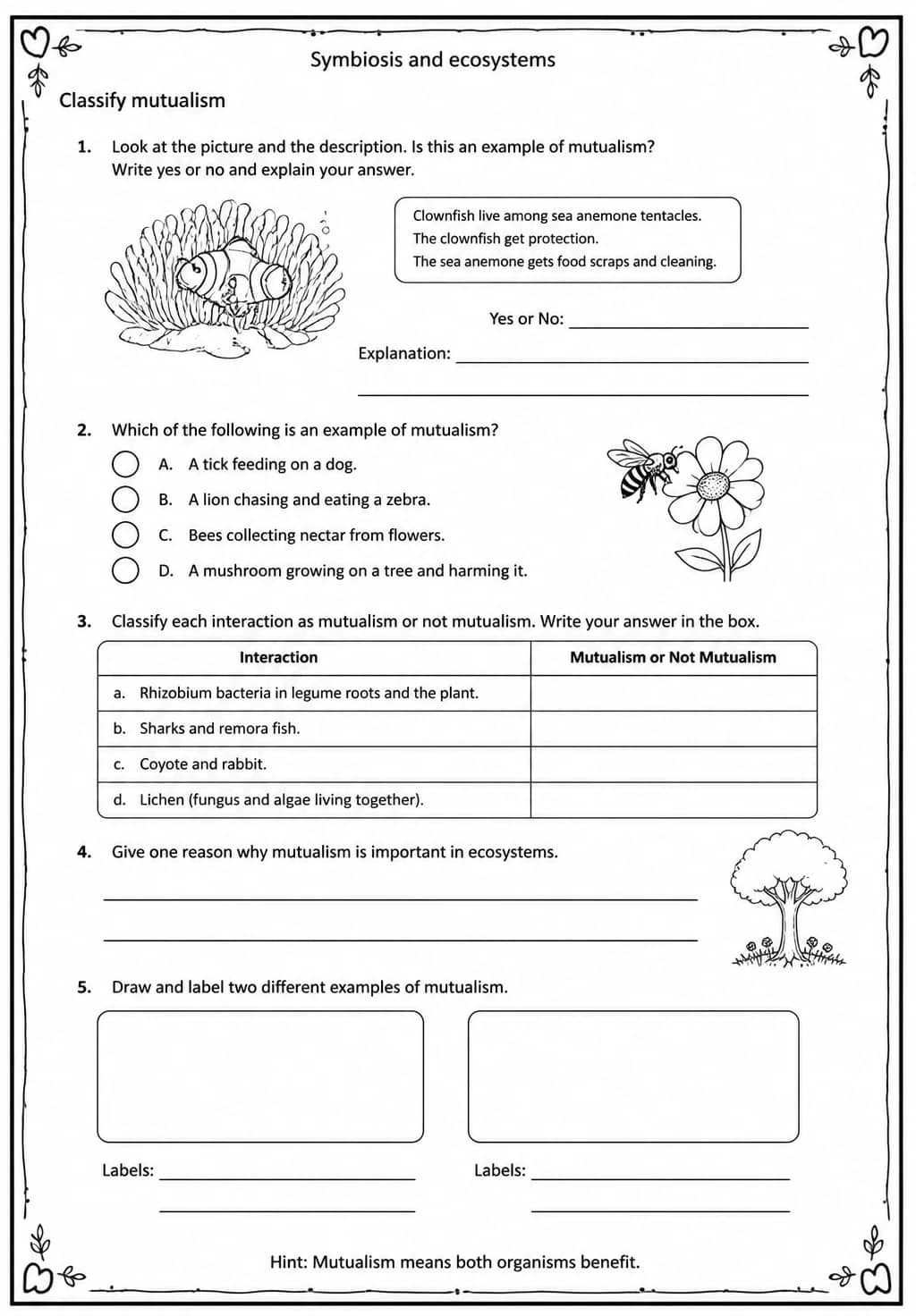Classify mutualism — free printable Middle School Science worksheet