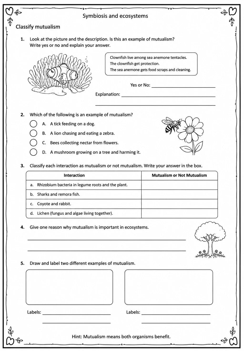 Classify mutualism — free printable Middle School Science worksheet
