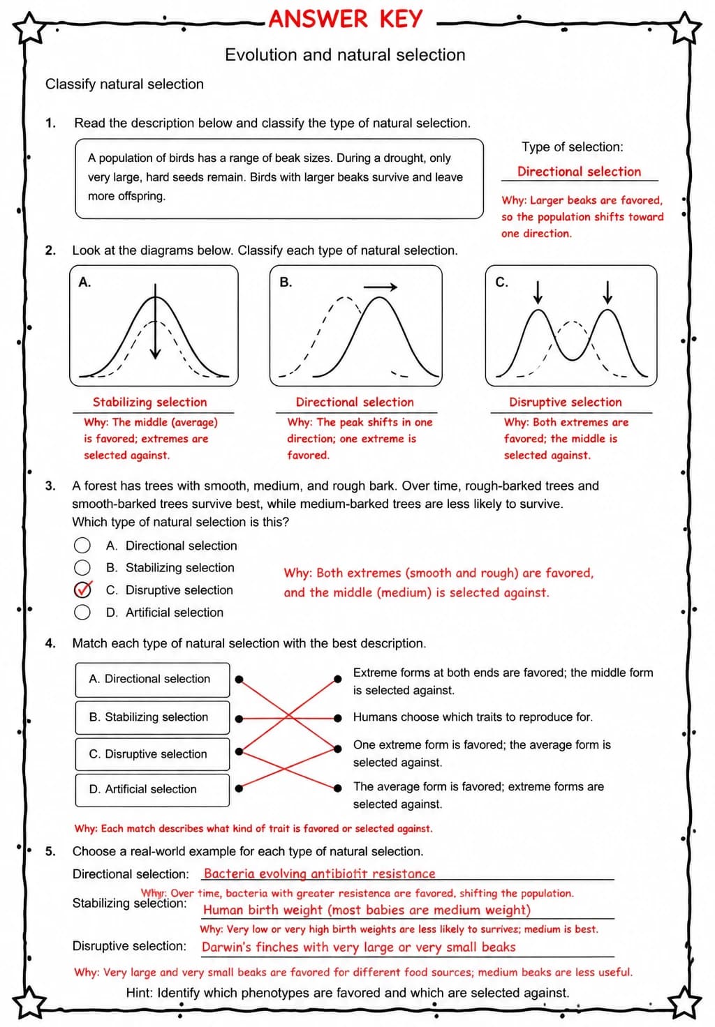 Answer key for Classify natural selection — free printable Science worksheet