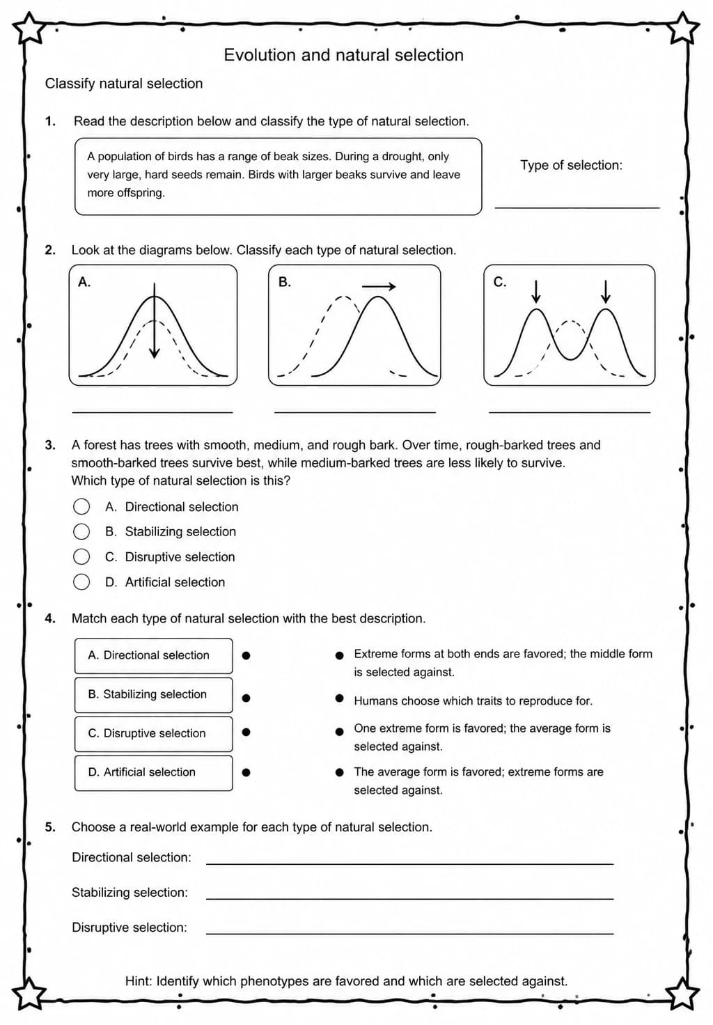 Classify natural selection — free printable Middle School Science worksheet