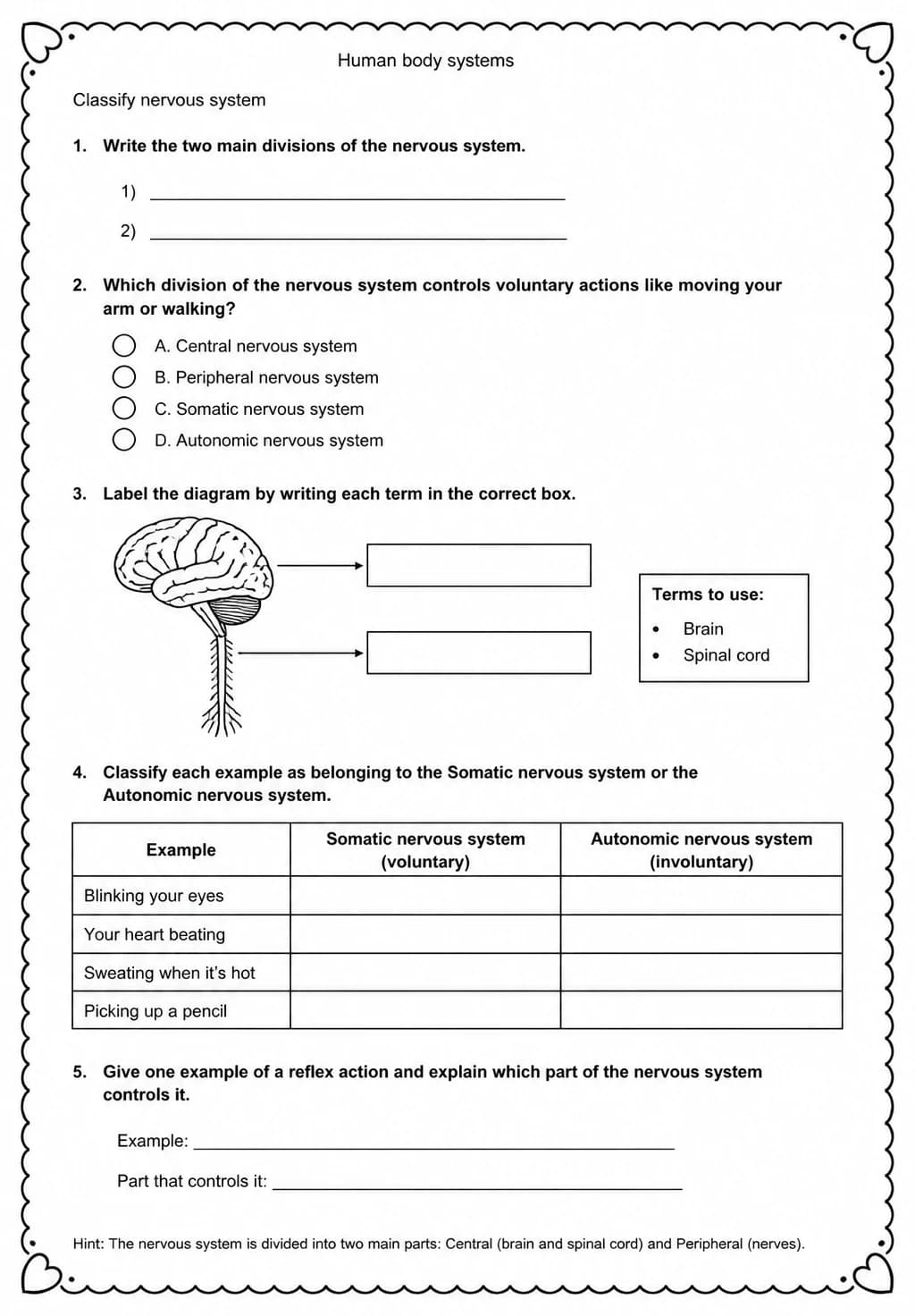 Classify nervous system — free printable High School Science worksheet