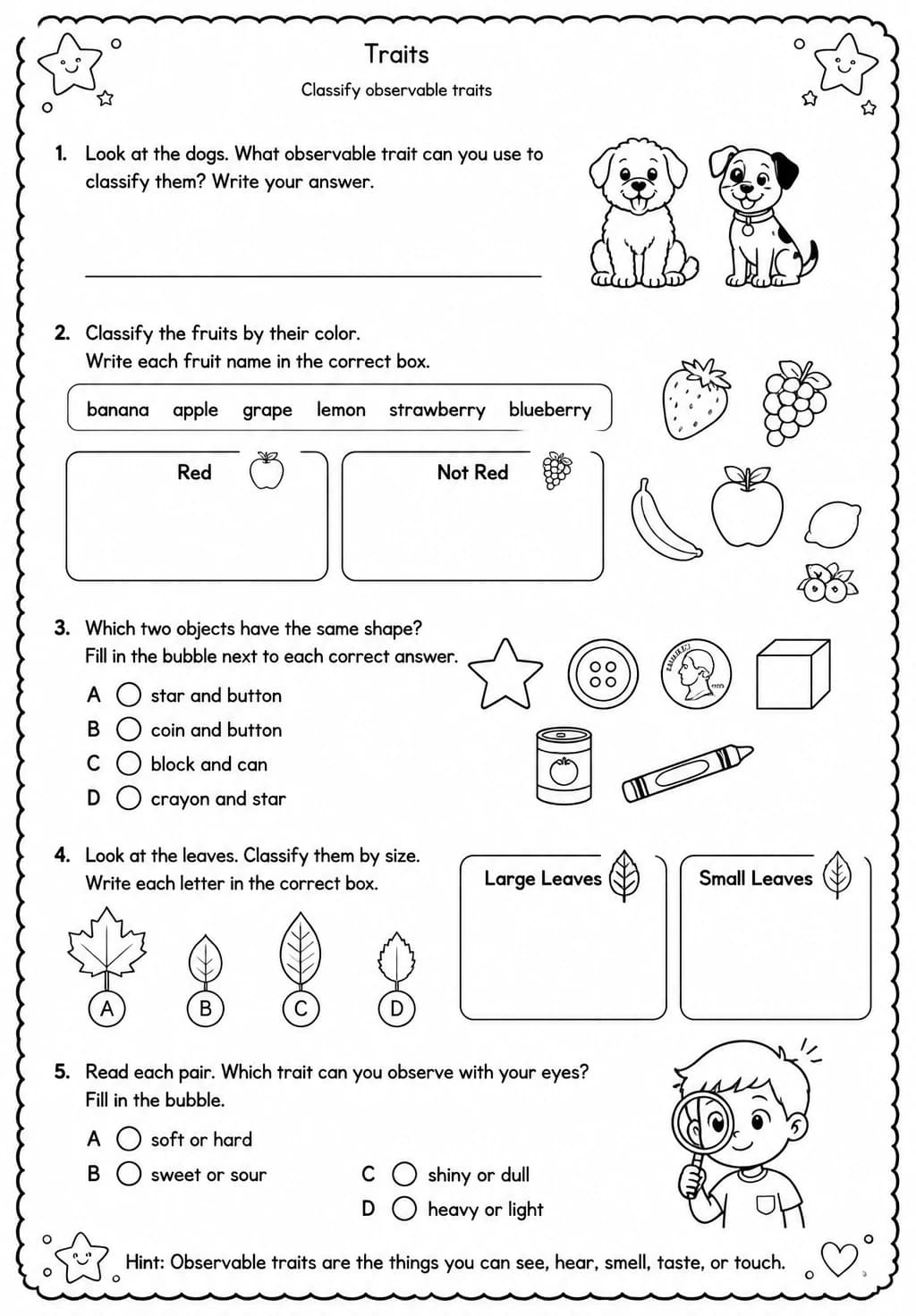 Classify observable traits — free printable Grade 2 Science worksheet