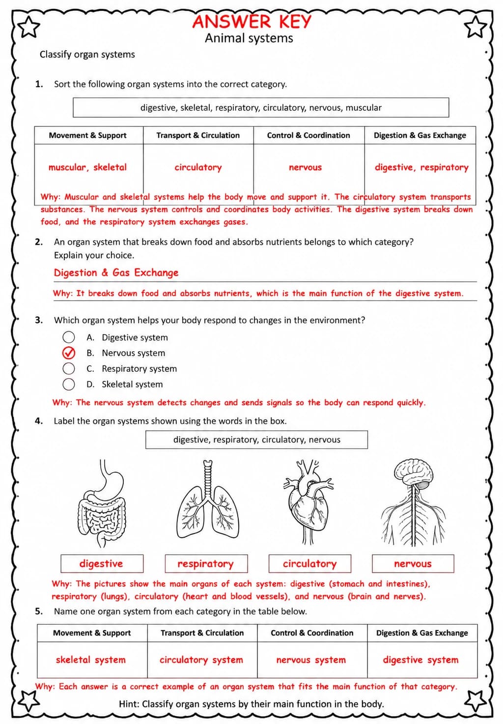 Answer key for Classify organ systems — free printable Science worksheet