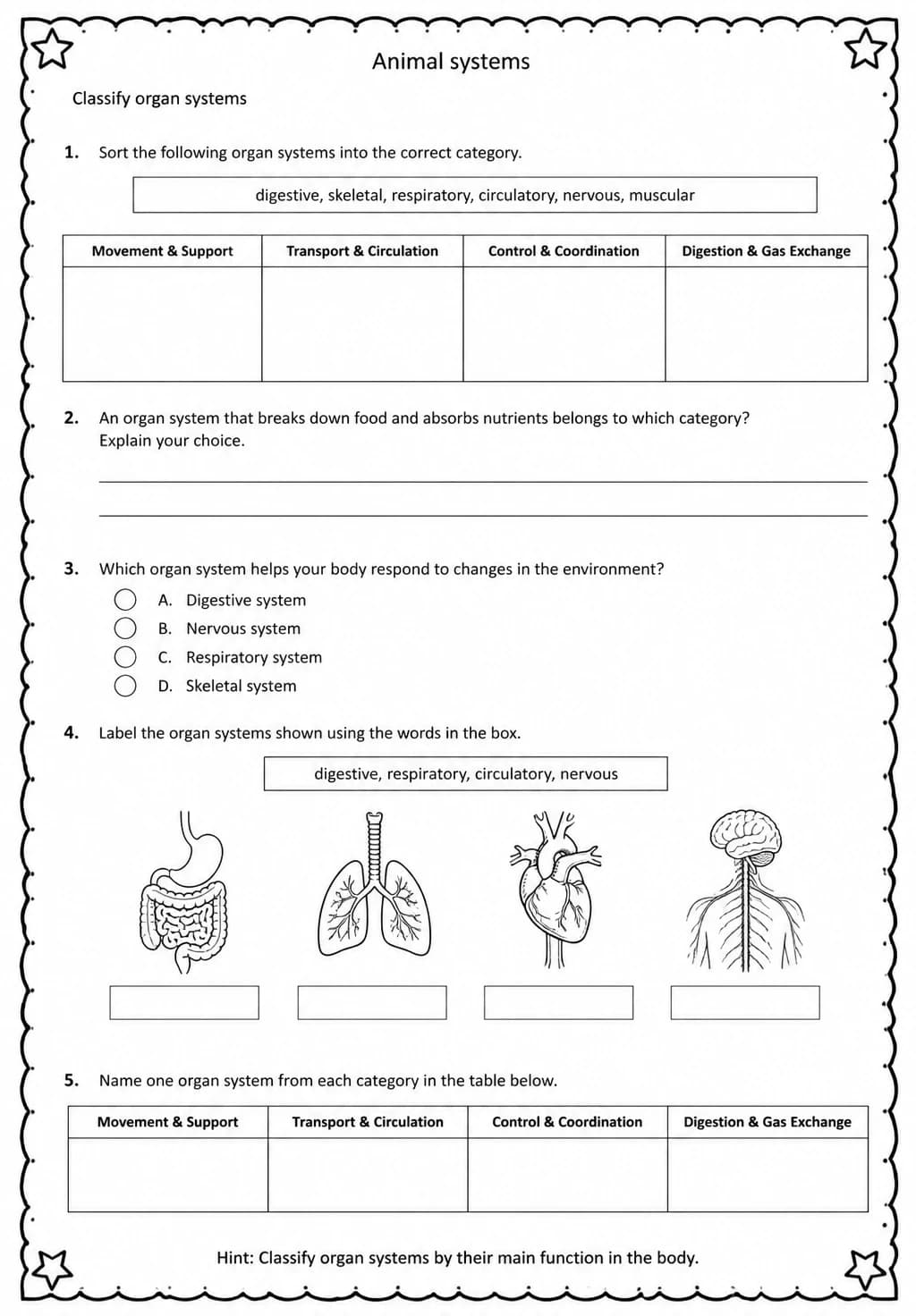 Classify organ systems — free printable Middle School Science worksheet