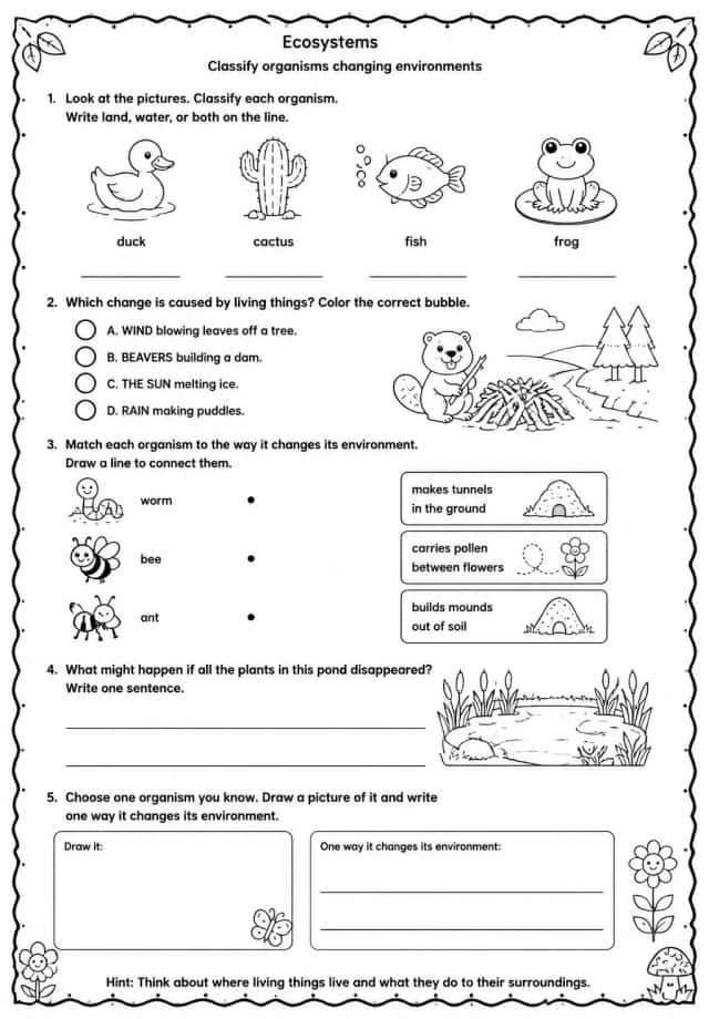 Classify organisms changing environments