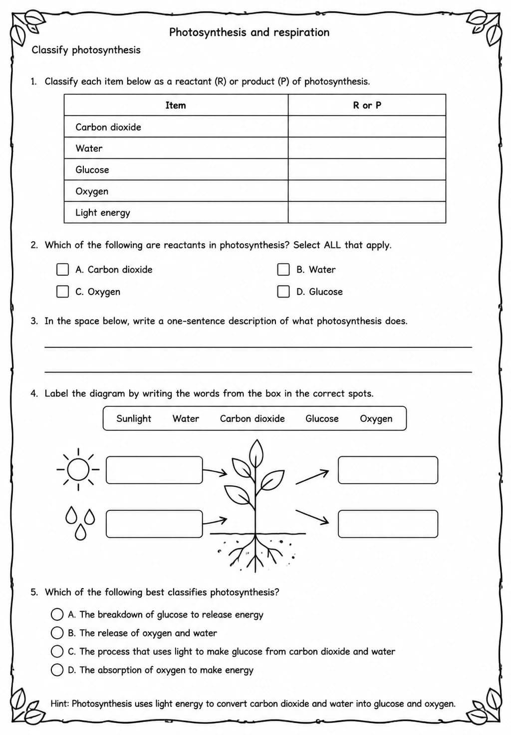 Classify photosynthesis — free printable High School Science worksheet