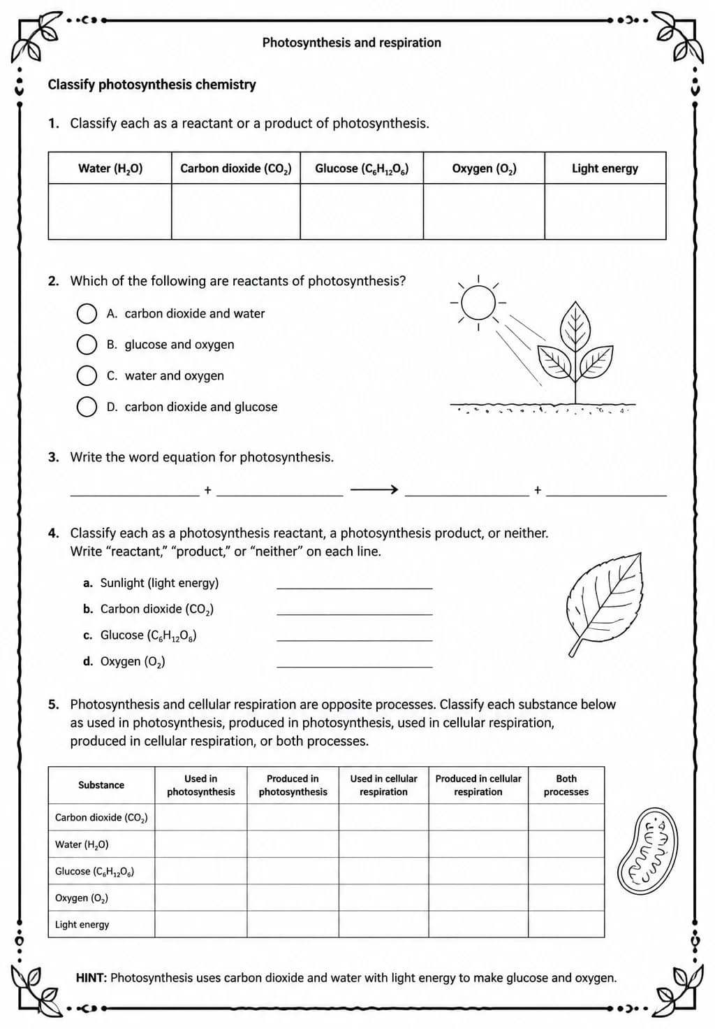 Classify photosynthesis chemistry — free printable Middle School Science worksheet